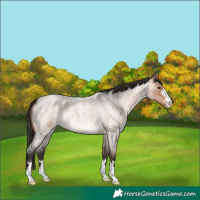 Horse Color:Brown Roan Dun 