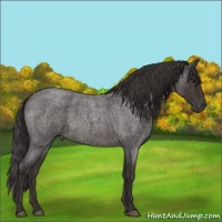 Horse Color:Smoky Blue Roan 