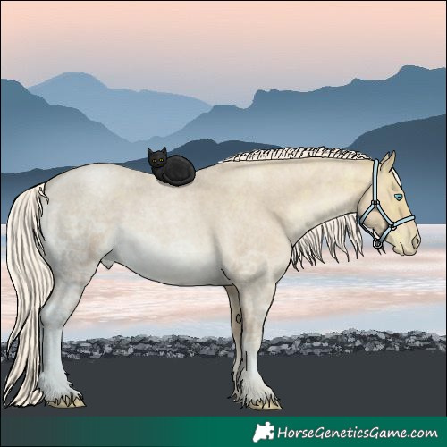 Horse Color:Chocolate Palomino Ice Roan Pearl