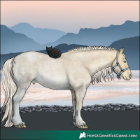 Horse Color:Chocolate Palomino Ice Roan Pearl