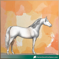 Horse Color:Gray Silver Smoky Black Pearl Tobiano 