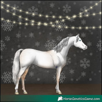 Horse Color:Gray Silver Classic Cream Champagne Pearl Tobiano 
