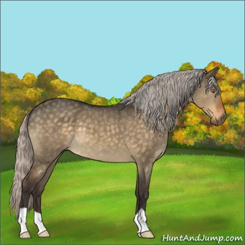 Horse Color:Silver Buckskin Dun 