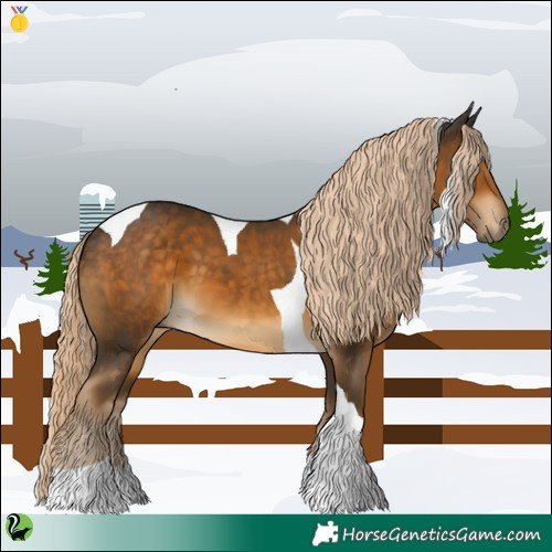 Horse Color:Chocolate Palomino Tobiano