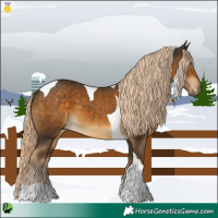 Horse Color:Chocolate Palomino Tobiano 