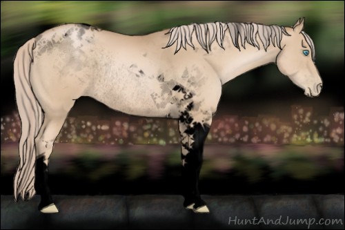 Horse Color:Void Chocolate Palomino Pearl Tobiano Rabicano 