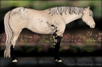 Horse Color:Void Chocolate Palomino Pearl Tobiano Rabicano 