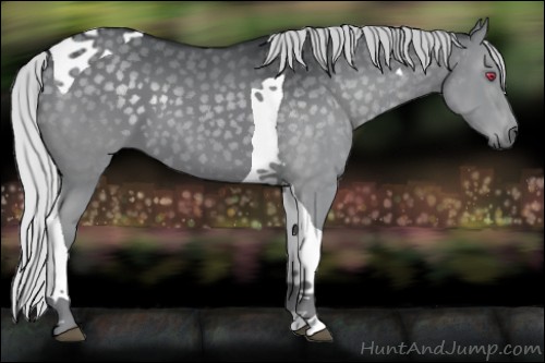 Horse Color:Silver Grullo Chinchilla Tobiano 