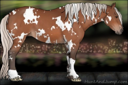 Horse Color:White Spotted Silver Brown 