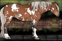 Horse Color:White Spotted Silver Brown 
