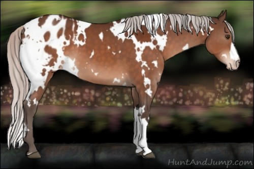 Horse Color:White Spotted Silver Brown Blanket 