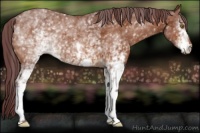 Horse Color:White Spotted Chocolate Buckskin 