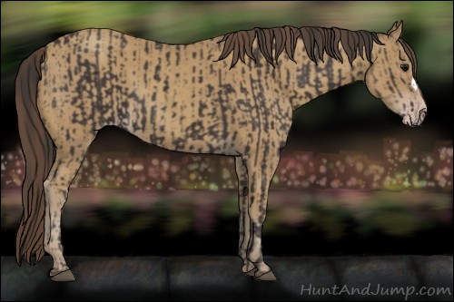 Horse Color:Smoky Black  and Classic Cream Champagne 