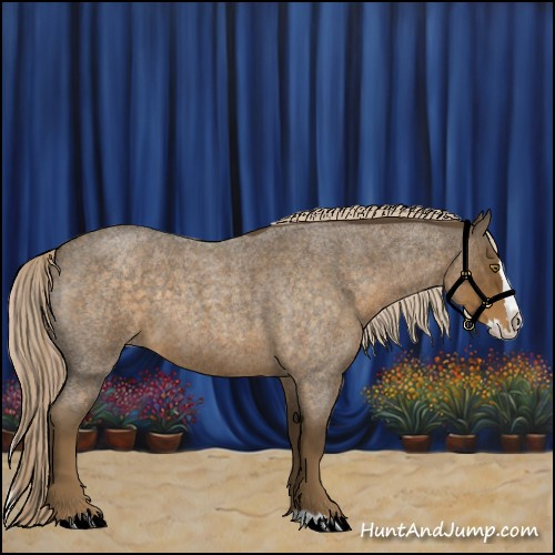 Horse Color:Chocolate Palomino Roan Splash 