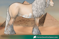 Horse Color:Silver Bay Pearl Dun Sabino Tobiano Frame Rabicano 