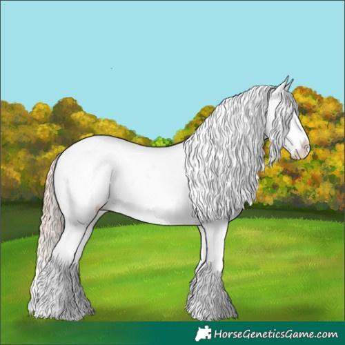 Horse Color:White Spotted Chocolate Palomino Dun Snowflake Varnish 