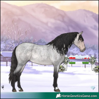 Horse Color:Platinum Buckskin Roan 