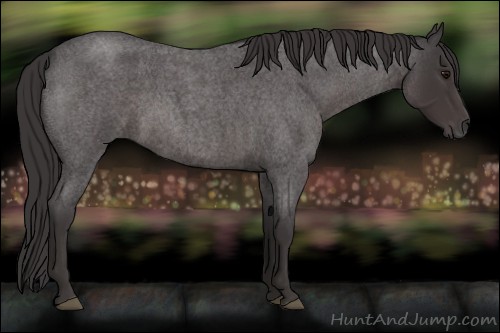 Horse Color:Smoky Blue Roan