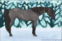 Horse Color:Smoky Blue Roan 