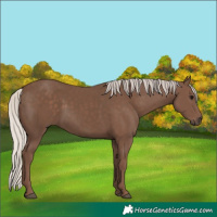 Horse Color:Silver Black