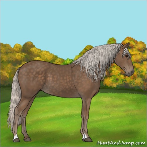 Horse Color:Silver Black 