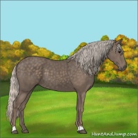 Horse Color:Silver Black 