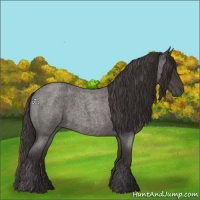Horse Color:Smoky Blue Roan 