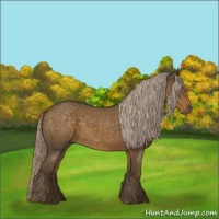 Horse Color:Chocolate Palomino Roan 