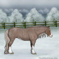 Horse Color:Silver Blue Roan Sabino 