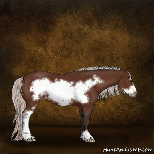 Horse Color:Silver Brown Sabino Frame 