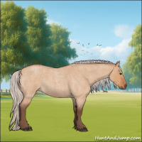 Horse Color:Silver Bay Roan Dun Sabino Rabicano 