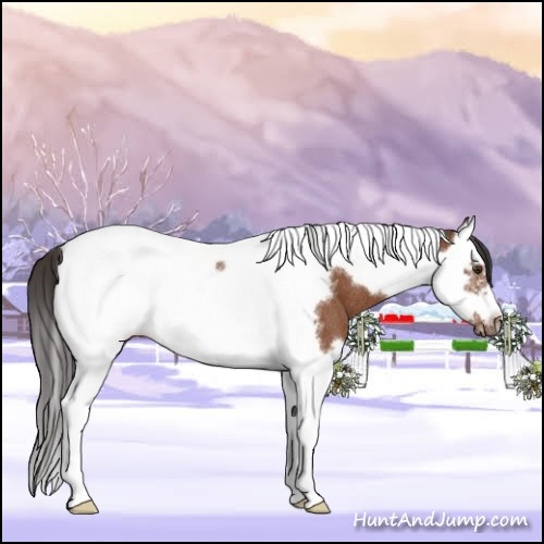 Horse Color:Bay Splash Tobiano Frame Rabicano