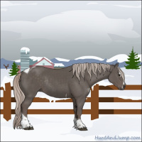 Horse Color:Silver Black Sabino Tobiano Rabicano 