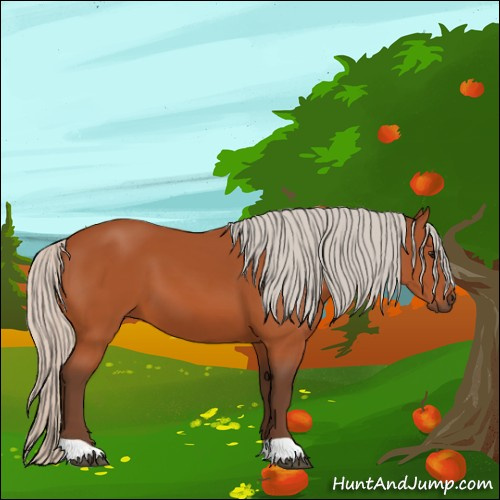 Horse Color:Silver Bay 
