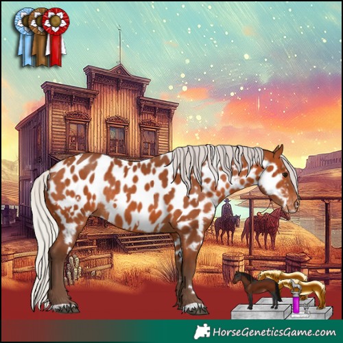 Horse Color:White Spotted Silver Bay Near Leopard Rabicano 