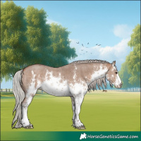 Horse Color:White Spotted Silver Bay Dun Sabino Rabicano 