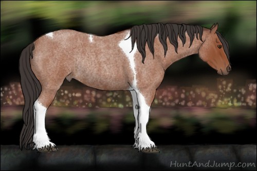 Horse Color:Bay Roan Tobiano Rabicano 