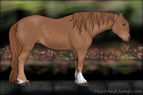 Horse Color:Chestnut Tobiano Rabicano 