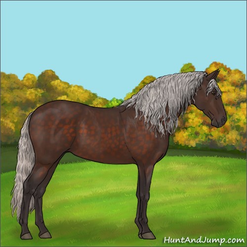 Horse Color:Silver Brown 