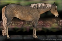 Horse Color:Chocolate Palomino Roan 