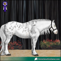 Horse Color:Platinum White Spotted Silver Smoky Blue Roan Appaloosa 