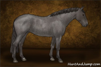 Horse Color:Smoky Blue Roan 