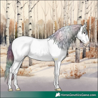 Horse Color:Nacre Liver Red Onyx Sabino Appaloosa 