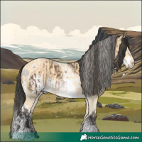 Horse Color:Brown Dun Splash Tobiano  and Buckskin Dun Frame 