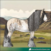 Horse Color:Brown Dun Splash Tobiano  and Buckskin Dun Frame 
