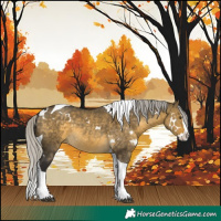 Horse Color:White Spotted Silver Buckskin Dun Mushroom Splash Tobiano 