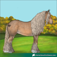 Horse Color:Chocolate Palomino Roan 