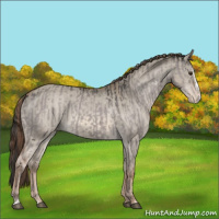 Horse Color:Platinum Liver Red Dun Varnish and Red Dun Splash Varnish