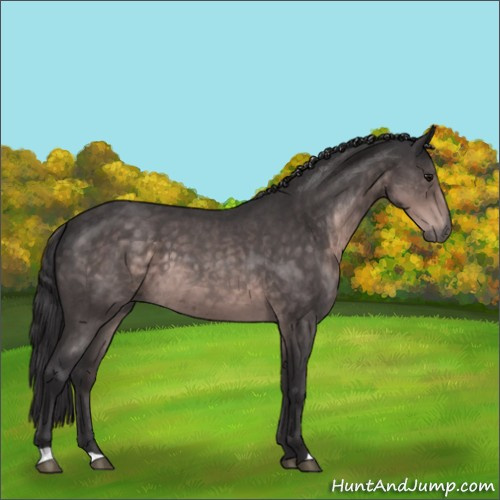 Horse Color:Platinum Buckskin Roan