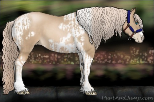 Horse Color:Chocolate Palomino Pearl Tobiano Frame  and Chocolate Palomino Pearl Tobiano Frame 